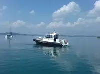 Besatzungsboot zu verkaufen