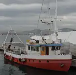 Arbeitsboote zu verkaufen