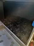 Kreuzfahrtschiff zu verkaufen