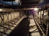 Schleppboot zu verkaufen