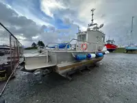 Patrouillenboot zu verkaufen