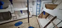 Schleppboot zu verkaufen