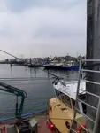 Trawler zu verkaufen
