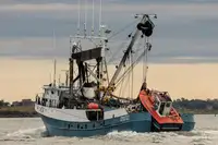 Purse-Seiner zu verkaufen
