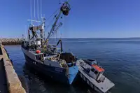 Purse-Seiner zu verkaufen