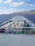 Schleppboot zu verkaufen