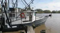 Trawler zu verkaufen