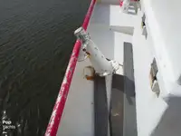 Trawler zu verkaufen