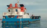 Landungsboot, Tank zu verkaufen