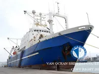 Trawler zu verkaufen