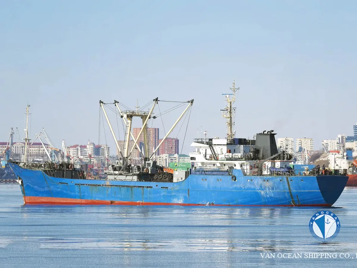 Kühlschiff zu verkaufen