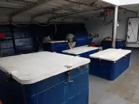 Trawler zu verkaufen
