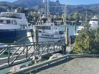 Trawler zu verkaufen