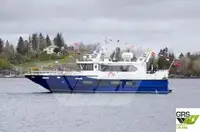 Ro-Ro-Schiff zu verkaufen