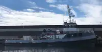 Schleppboot zu verkaufen