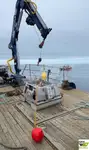 Arbeitsboote zu verkaufen
