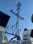 Schleppboot zu verkaufen