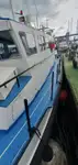 Containerschiff zu verkaufen