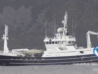 Trawler zu verkaufen