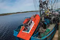 Purse-Seiner zu verkaufen