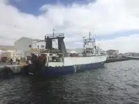 Trawler zu verkaufen