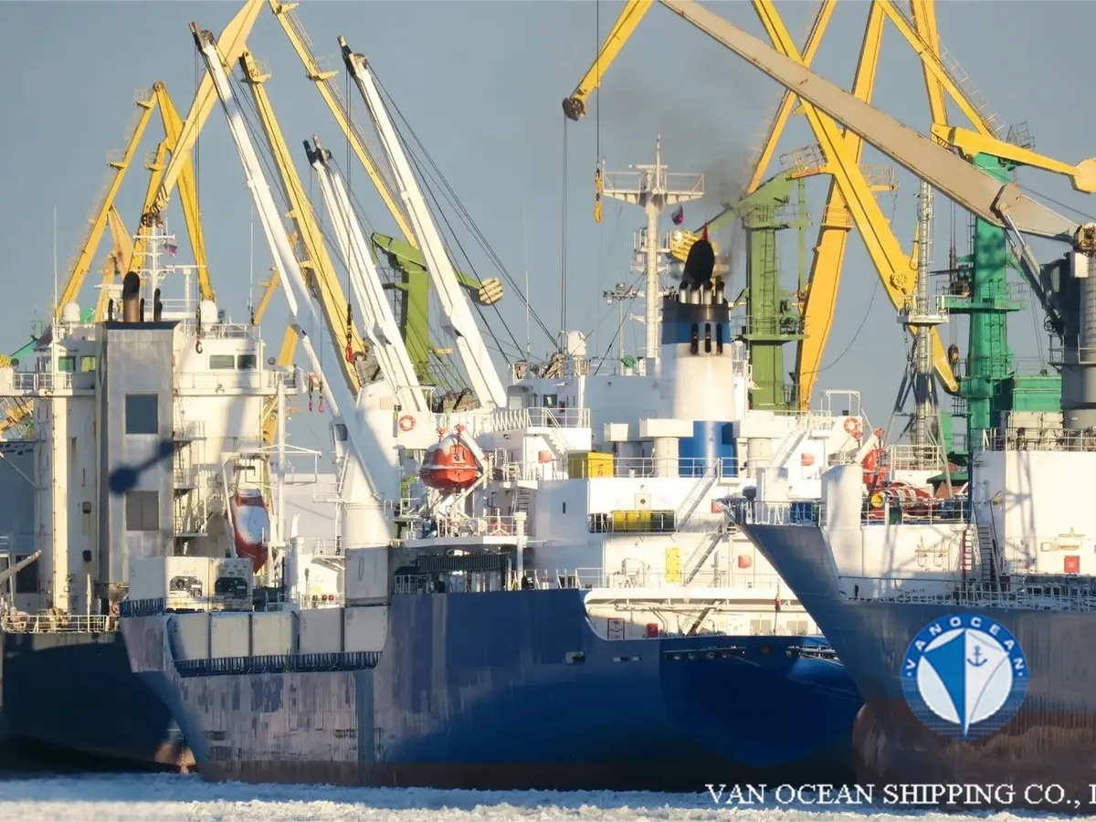 Kühlschiff zu verkaufen