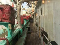 Tintenfisch-Jigger zu verkaufen