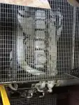 Containerschiff zu verkaufen