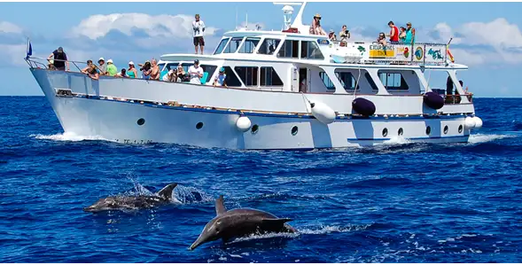 Kreuzfahrtschiff zu verkaufen