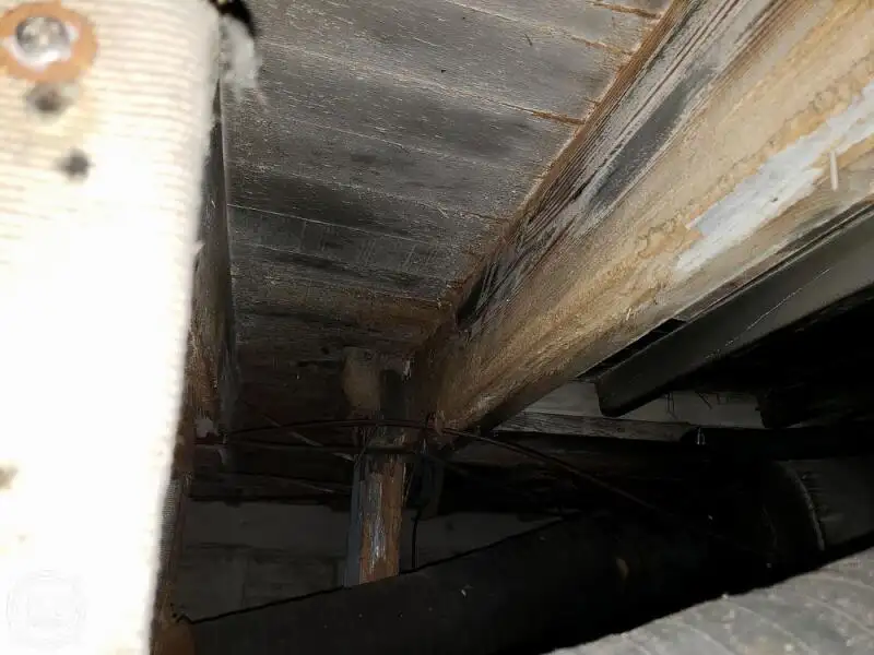 Fährschiff zu verkaufen