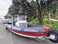 Amphibisch zu verkaufen