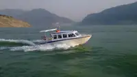 Passagierschiff zu verkaufen