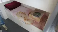 Trawler zu verkaufen