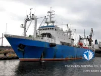 Trawler zu verkaufen
