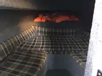 Lotsenboot zu verkaufen