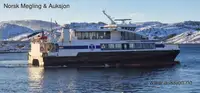 Ro-Ro-Schiff zu verkaufen