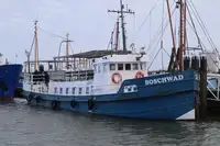 Lastkahn zu verkaufen