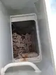Fährschiff zu verkaufen