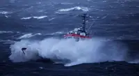 Schleppboot zu verkaufen