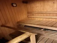 Kreuzfahrtschiff zu verkaufen