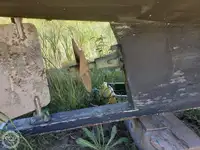 Fischverarbeitungsboot zu verkaufen