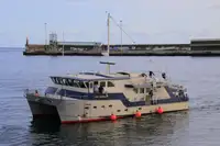 Vermessungsschiff zu verkaufen