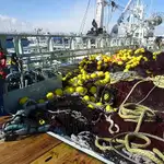 Purse-Seiner zu verkaufen