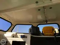 Trawler zu verkaufen