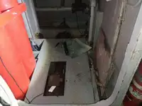 Kreuzfahrtschiff zu verkaufen