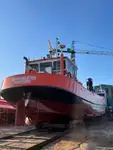 Bagger zu verkaufen