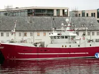 Purse-Seiner zu verkaufen