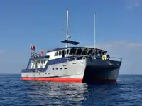 Schleppboot zu verkaufen