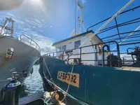 Trawler zu verkaufen
