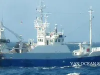 Trawler zu verkaufen